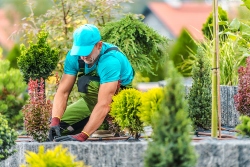 New Albany construction accounting services